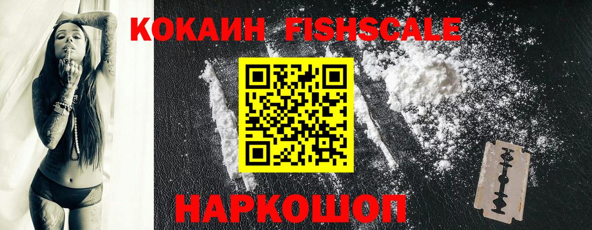 Cocaine Эквадор  даркнет сайт  Cocaine  Вход с VPN  Елабуга  Кокаин Fish Scale 